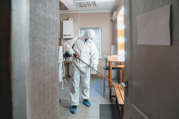Best Comprehensive Air Testing for Mold Contaminants  in Adrian, MN