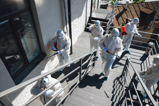 Best Airborne Mold Testing  in Adrian, MN