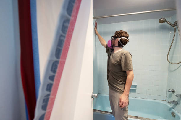 Trusted Adrian, MN Mold Removal Experts