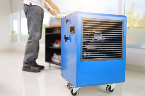 Best Commercial Mold Inspection  in Adrian, MN